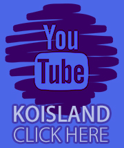 Canal de Youtube Koisland