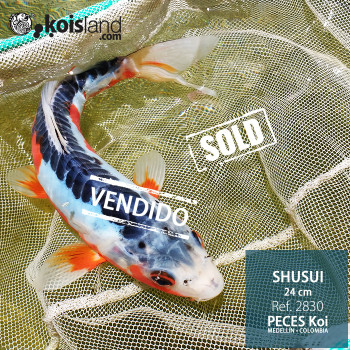 REF.2830 - Shusui