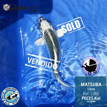 REF.3280 - Matsuba 13cm